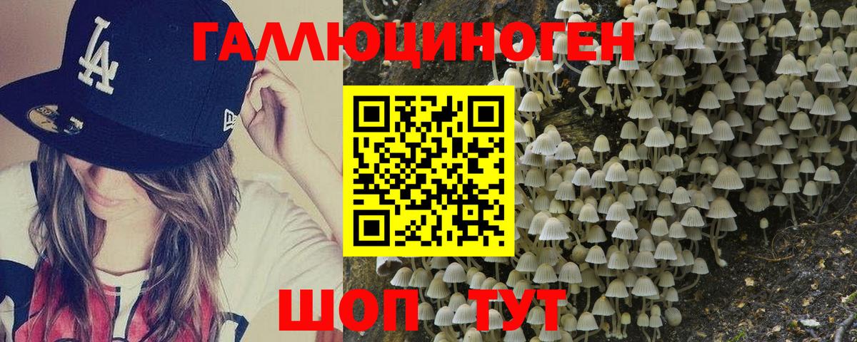 Псилоцибиновые грибы MAGIC MUSHROOMS Мурино
